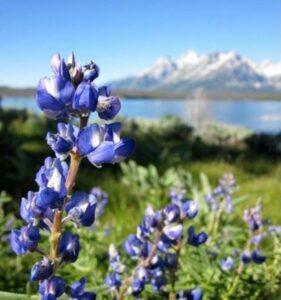 3 Easy Ways to Live and Work In Gorgeous Places Image